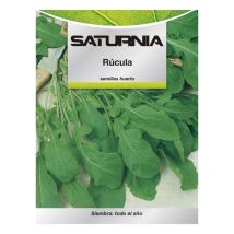 Semillas de rúcula (9 gramos) – Cultivo en huertos urbanos – Bolsa termosellada – 30-40 días de cosecha