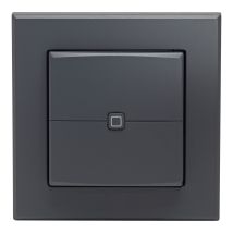 Interruptor De Pared Homematic-ip Hmip-wrc2-a-2 Sin Cable Multifunción