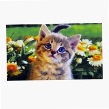 Alfombra decorativa CHAT 40 x 60 cm – 100 % poliamida – Antideslizante – Respetuosa con el medio ambiente
