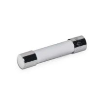 Atmos Sicherung 6,3 A Für Kesselschaltfeld Atmos Pelletkessel S0200 709.020.0