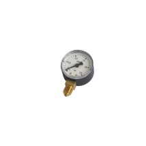 Fluidra - Manometer ¼" 0-2,5 Bar Mit Anschluss Senkrecht, Druckmesser Für D&w Kessel