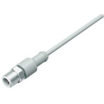 77 3729 0000 40404-0200 Sensor-/aktor-steckver Konfektioniert M12 Stecker, Gerade 1 - Binder