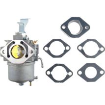 Briggs & Stratton 715668 715443 715121 Vergaser Für Rasenmäher