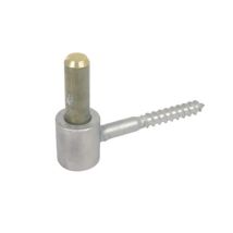 Gond À Vis Bois Diamètre 10 X L 75 Mm En Inox 316 Passivé Axe Laiton Diamètre 16 - Torbel Industrie