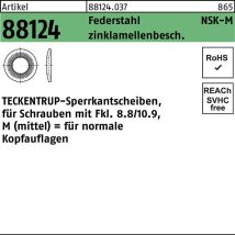 Teckentrup – Sperrkantscheiben – Federstahl – zinklamellenbeschichtet – 18 mm – 100 Stück