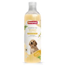 Beaphar Shampoo für Welpen – 250 ml – pH-neutrales Shampoo mit Kamille und Aloe Vera – für empfindliche Haut – frischer Duft