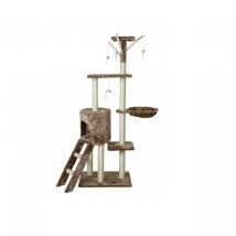 Vadigran - Scalatore - Fidgi Cat 50x35x137cm