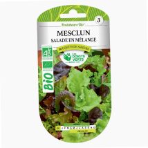 Semi di insalata mesclun in miscela BIO – 7 varietà – Agricoltura biologica – Les Doigts Verts
