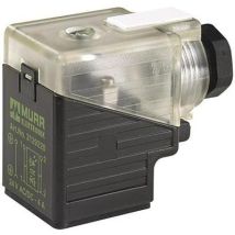 Murrelektronik Stay Connected Murr Elektronik Ventilstecker Schwarz, Transparent Svs Pole:3 7000-29001-0000000 Inhalt: 1st