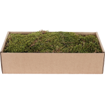 Musgo plano seco 500 g Verde – Marrón – 38 cm x 19 cm x 9.3 cm
