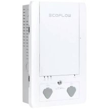 Eco Flow – Pannello di controllo Smart Home per sistema a batteria DELTA Pro – 1343649 – Tecnologia batterie: Litio, Tensione: 230V