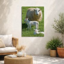Tableau De Jardin Agneau De Printemps 50 X 70cm Beige, Vert