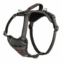 Harnais Anatomy Halti – Gris – Taille XS – Taille de l'animal, Largeur, Matières