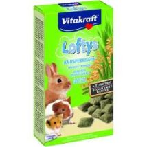 Loftys – Baked Treats for Small Animals – 100g – Natural Grains, No Artificial Additives