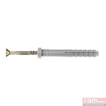 RAM – 76153 – 100 x Allzweckdübel 5x30mm – Nylon – TF Pozidriv-Schraube aus Stahl