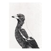 Maxwell And Williams - Maxwell & Williams Marini Ferlazzo Birds Paño De Cocina Con Diseño De Urraca Australiana De 100% Algodón, 50 X 70 Cm – Blanco