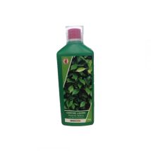 Concime per piante verdi 1,2 kg – Brico OK – Concime biologico per crescita rigogliosa – 1000G