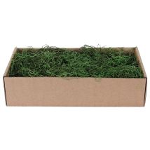 Musgo Español Verde 500 Gr