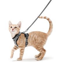 Cat Harness Small Dog Leash Adjustable Kitten Harness Gray Xs Reflective Cat Harness Collar Breathable Vest For Rabbit, European Cat, Maine Coon, 