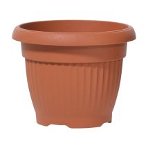 Prosperplast - Maceta Terra 3l., Dimensiones (mm) 200x200x155, Color Terracota