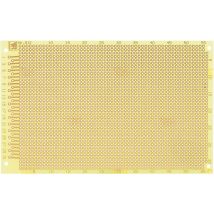 Rademacher – c912ep – Biglietto di auguri 912 EP 160 x 100 – 100 mm, 160 mm, Epossidico, 37 piste conduttrici