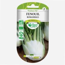 Semillas De Hinojo Romanesco Bio Los Dedos Verdes