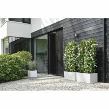 Elho Vivo Next Quadratische Blumenkasten 12 Liter