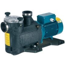 Selbstansaugende Schwimmbadpumpe Calpeda Mpc 71/b 2,2kw 3hp Drei Phasen 400v