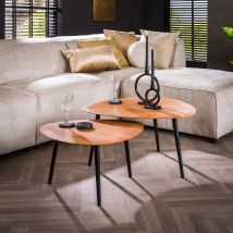 Furnwise - Coffee Table Organic Ladoble Wood Set Of 2
