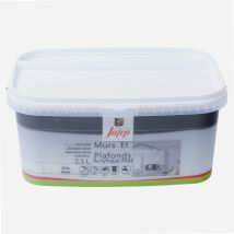 Pittura Murale E Soffitto Acrilico Opaco Grigio Acciaio 2,5l Jafep