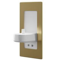 Proofvision Brushed Brass In-wall Electric Toothbrush Charger And Shaver Combo - Pv12p-b-fr