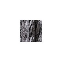 Pellicola Statica Premium In Legno Rotolo 15 M X 67,5 Cm - D-c-fix