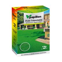 Begehbarer Rasen 1kg Max 40sqm C130030005 - Papillon