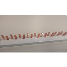 Peigne De Connexion À Broches Pin 63a 1 Mètre Chint Electric 1p+n