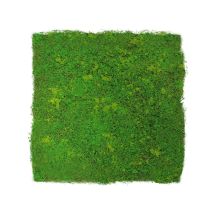 Jangal - Modular Wall Akustik 3d Paneele 520 X 520 Mm Light Green Fibre Design Moos Kunst Pflanzwand Moospaneele