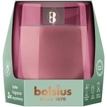 Bolsius Cleanlight Duftglas Starterkit Zedernholz & Vetiver Duftkerze