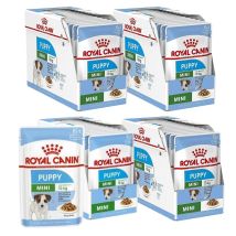 Alimento Para Cachorros Royal Canin Shn Mini En Salsa, 48 X 85 G.
