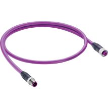 Belden - 11016-1 Sensor-/aktor-datensteckverbinder, Konfektioniert M12 Stecker, Gerade, Buchse, Gerade
