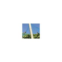 Rete Verde Anti-uccelli Bg 6 X 4
