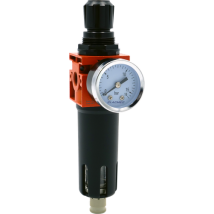 Filtro Regolatore 1/4 12 Bar 42 M/h Lacme - 317500