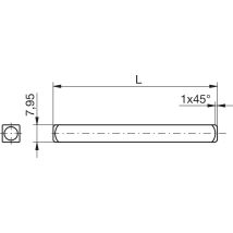 Spina Per Porta Eco Zincata 9x144 Mm
