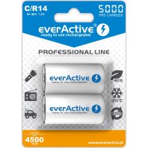 R14 Aku 2bl Everactive 5000 Linea Professionale
