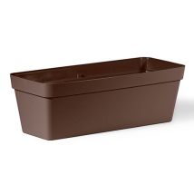 Caja De Cleo 50 Cm - Chocolate