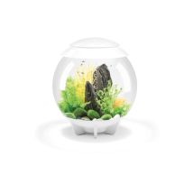 Acuario decorativo biOrb HALO 30 MCR blanco – 30 L – 40 cm diámetro – 46 cm altura – Iluminación LED multicolor