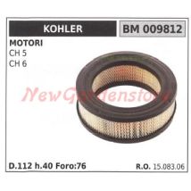 Kohler Tracteur De Pelouse Ch 5 6 Filtre À Air 009812