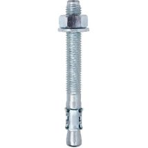Ancorante Pesante Passante Assemblato M20x170 Conf. 10pz - 75320b20170 Friulsider
