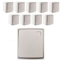 Lot De 10 Boutons Poussoir À Voyant - Gris - Orok - Zenitech