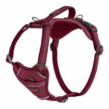 Harnais Anatomy Halti – Taille M – Gris, Vert, Magenta – Animalerie – Collier, laisse et harnais pour chien