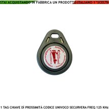 Chiave Trasponder Di Prossimità Tag Rfid Alta Sicurezza Codice Base Univoco Securvera Em-4100 Frequenza Di Lavoro 125 Khz Altri Codici Generati Random