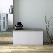 Terraneo Aufbewahrungskiste – Weißer Containerkoffer mit Betonoberfläche – 90 x 45 x 45 cm – Soft-Close-System – Praktische Sitzgelegenheit